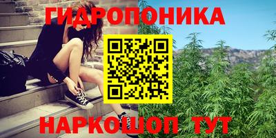 кокс Боровичи
