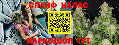mdpv Братск