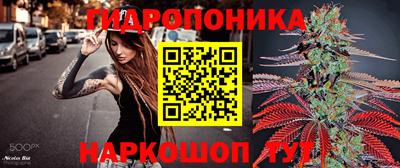 кокс Боровичи